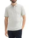 Theory Bron Polo In Cosmos In Light Greenstone