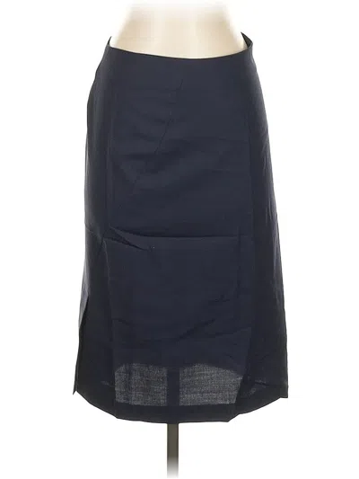 Pre-owned Theory Casual Skirt In Blue
