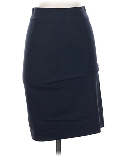 Pre-owned Theory Casual Skirt In Blue