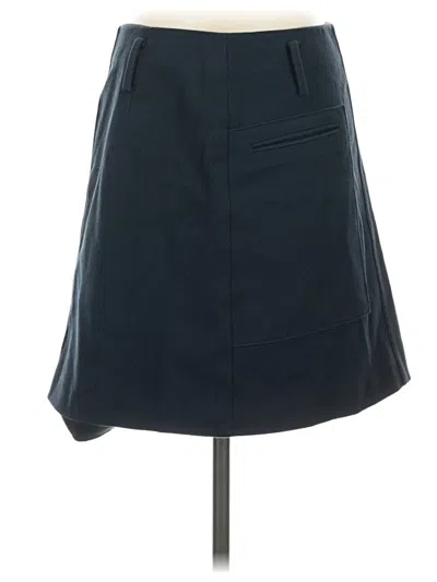 Pre-owned Theory Casual Skirt In Blue