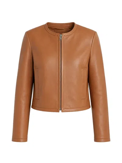 Theory Crop Collarless Zip-up Jacket In Brown
