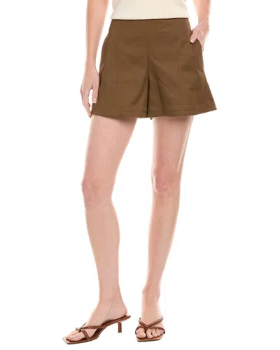 Theory Short In Brown
