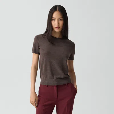 Theory Sweater Tee In Regal Wool In Brown