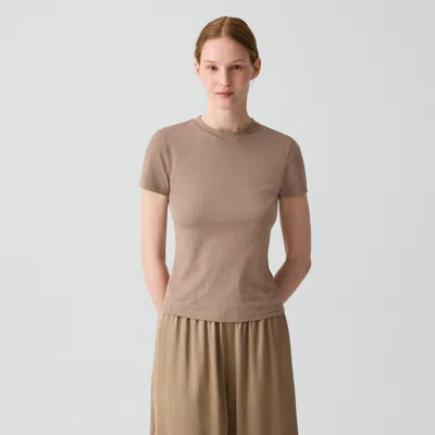 Theory Tiny Tee In Organic Cotton In Brown