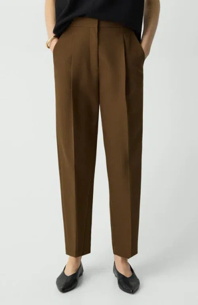 Theory Wool Blend Pleated Pants In Clove
