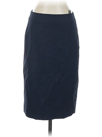 Pre-owned Theory Wool Skirt In Blue