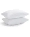 Therapedic Premier 2-pack Pillows, Standard/queen In White