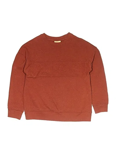 Pre-owned Thereabouts Kids' Pullover Sweater In Brown