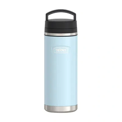 Thermos Stainless Steel 32oz. Temperature Bottle In Blue