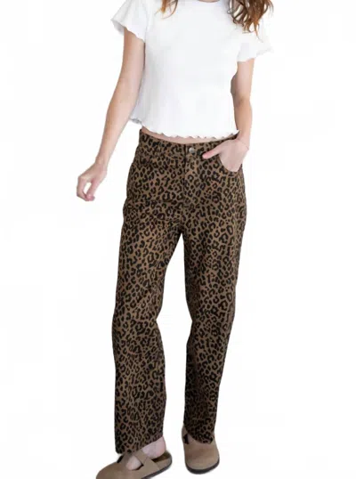 Things Between Cotton Animal Print Pants In Leopard In Brown