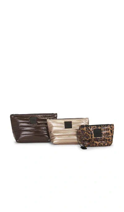 Think Royln Travel 파우치 In Glossy Chocolate  Pearl Cashmere & Leopa