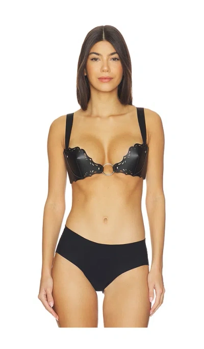 Thistle And Spire Ceto Bra In Black