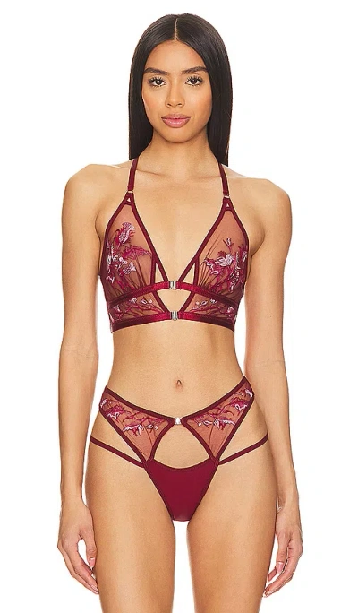 Thistle And Spire Cirsi Bralette In Burgundy