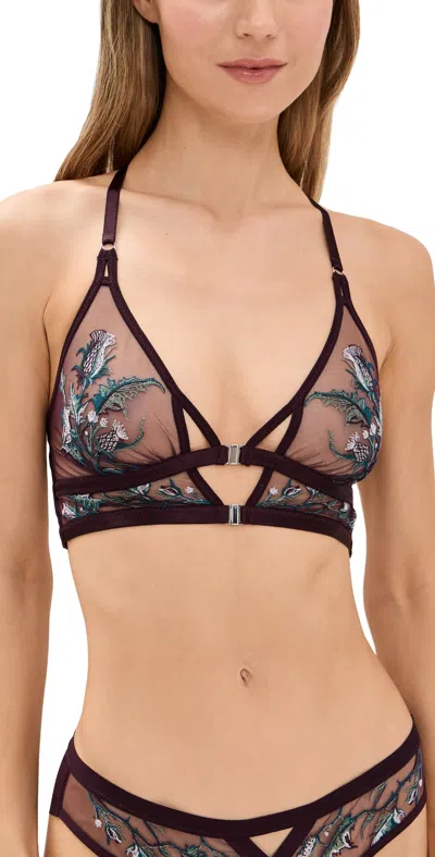 Thistle And Spire Cirsi Bralette Cordial