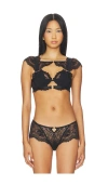 Thistle And Spire Daphne Bra In Black