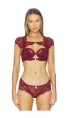 Thistle And Spire Daphne Bra In Red