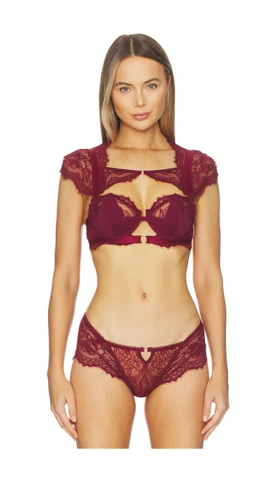 Thistle And Spire Daphne Bra In Red