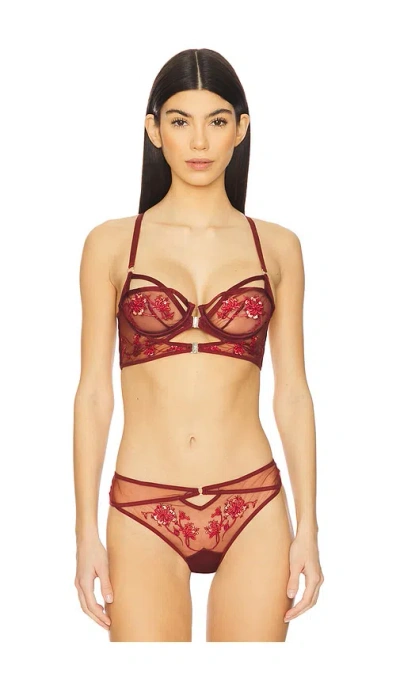 Thistle And Spire Dryad Bra In Burgundy