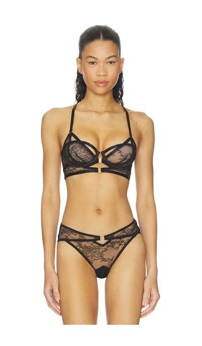 Thistle And Spire Icon Bra In Multi