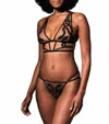 Thistle And Spire Medusa Bralette - Plus In Toffee In Brown