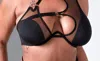 Thistle And Spire Ursa Bra In Black In Black