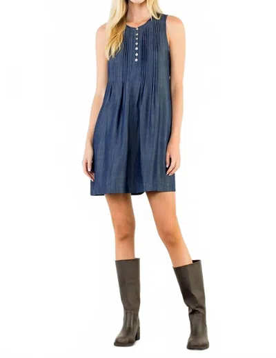 Thml Denim Fall Dress In Indigo In Multi