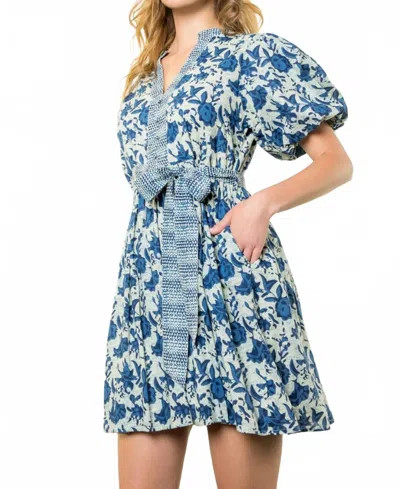 Thml Puff Sleeve Print Dress In Blue/multi