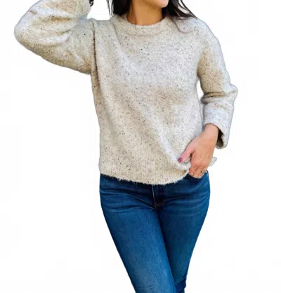 Thml Women's Cozy Sweater In Oatmeal Multi In Neutral