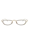 Thom Browne Novelty 50mm Oval Optical Glasses In Tortoise Gold Transparent