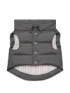 Thom Browne Striped Football Dog Vest In Gray