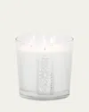 Thompson Ferrier 50 oz Involutus Glass Scented Candle In English Rose