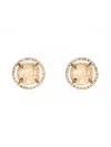 Thot Brass Earrings