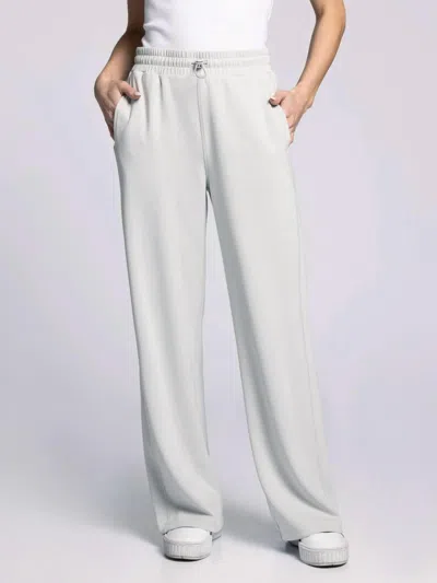 Thread & Supply Bridget Pants In Silver Gray