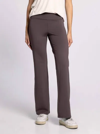 Thread & Supply Callie Flare Pants In Raisin In Gray