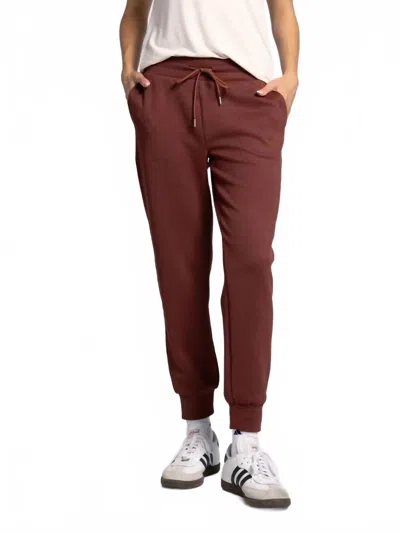 Thread & Supply Cora Solid Jogger In Cherrywood In Burgundy
