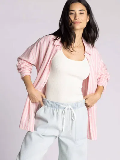 Thread & Supply Eden Striped Button Down Shirt In Rose Cream In Multi