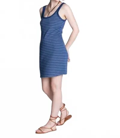 Thread & Supply Laguna Striped Cotton Tank Dress In Denim Blue Stripe In Multi