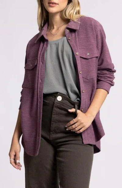 Thread & Supply Rylan Rib Button-up Shirt In Eggplant