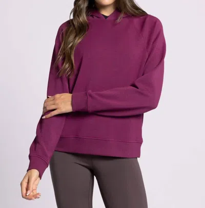 Thread & Supply Turner Hoodie In Purple Potion In Multi