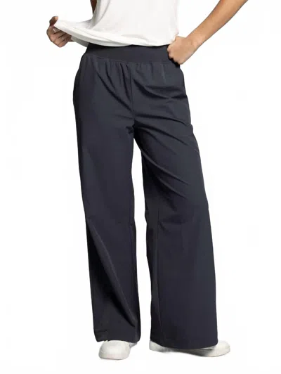 Thread & Supply Walker Pants In Charcoal Blue In Gray