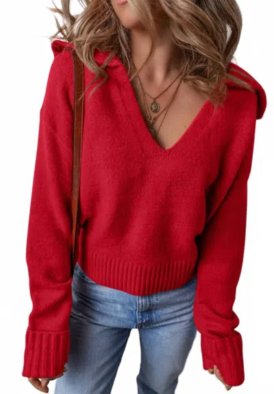 Threaded Pear Edge Pullover Sweater In Red