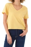 Threads 4 Thought Ada V-neck T-shirt