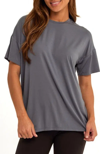 Threads 4 Thought Andie Jersey T-shirt In Gray