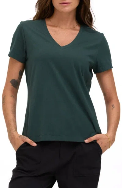 Threads 4 Thought Aria Essential Organic Cotton T-shirt In Alpine