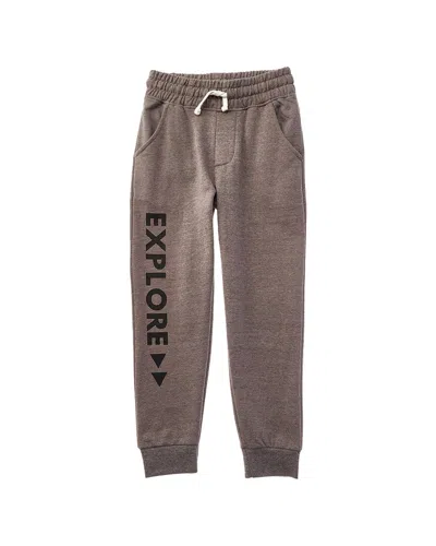 Threads 4 Thought Explore Outdoor Graphic Jogger Pant In Brown