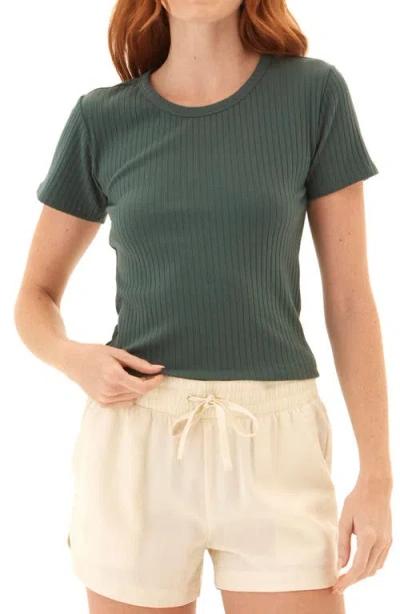 Threads 4 Thought Felicia Stretch Organic Cotton Rib T-shirt In Green