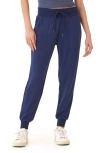Threads 4 Thought Liara Feather Fleece Pocket Joggers In Stargazer