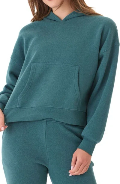 Threads 4 Thought Marcellina Triblend Fleece Pullover Hoodie In Watercress