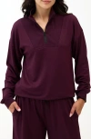 Threads 4 Thought Nyla Fleece Half Zip Pullover In Purple