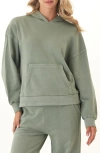 Threads 4 Thought Tanya Mineral Wash Cotton Blend Fleece Hoodie In Green